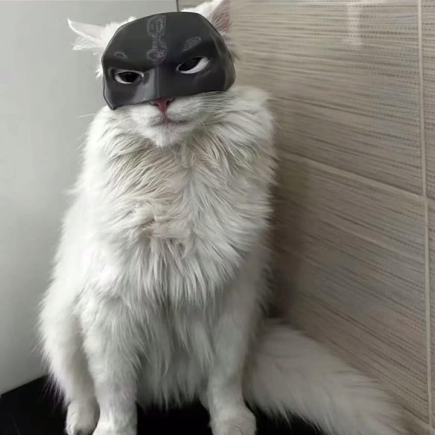 3D Printed Cat Mask