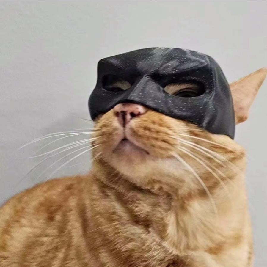 3D Printed Cat Mask